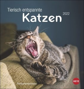 Tierisch entspannte Katzen Postkartenkalender 2022