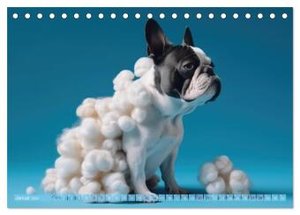 Hundemode vom Dogwalk (Tischkalender 2024 DIN A5 quer), CALVENDO Monatskalender
