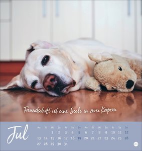 Ziemlich beste Freunde Postkartenkalender 2026