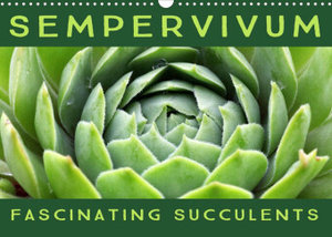 Sempervivum Fascinating Succulents (Wall Calendar 2023 DIN A3 Landscape)