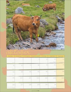 Kuh Kalender 2026