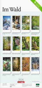 Im Wald Kalender 2026