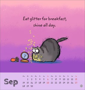 Catzz Postkartenkalender 2026