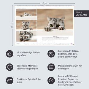 Whiskas Katzenkalender 2026