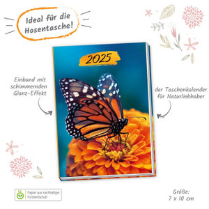 Trötsch Taschenkalender A7 Schmetterling 2025