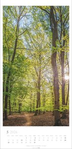 Im Wald Kalender 2026
