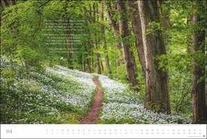 Der deutsche Wald - Ein literarischer Spaziergang Kalender 2022