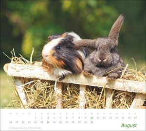 times&more Echte Freunde Bildkalender 2025