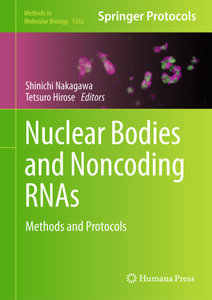 Nuclear Bodies and Noncoding RNAs