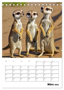 Mit Tieren hinein in das neue Jahr (Tischkalender 2024 DIN A5 hoch), CALVENDO Monatskalender