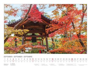 Japanese Garden  2022