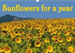 Sunflowers for a year