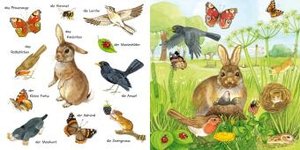 Mein kleines buntes Bildwörterbuch: Tiere im Park und im Garten