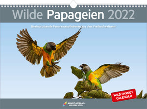 Wilde Papageien 2022