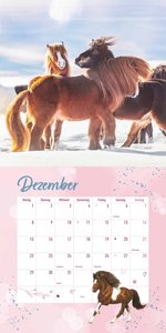Pferdefreunde 2025 - Broschürenkalender - Kinder-Kalender - Format 30 x 30 cm
