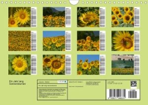 Ein Jahr lang Sonnenblumen (Wandkalender 2021 DIN A4 quer)