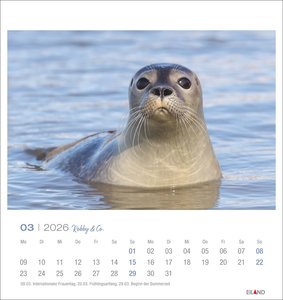 Robby & Co. Postkartenkalender 2026
