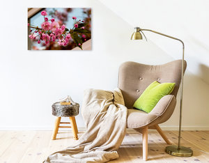 Premium Textil-Leinwand 75 cm x 50 cm quer Blütenstudie mit Biene