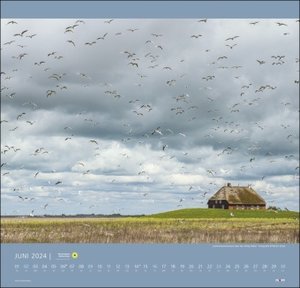 Nationalpark Wattenmeer Kalender 2024. Großer Foto-Wandkalender. Landschaften-Kalender 2024 mit atemberaubenden Fotos vom Wattenmeer. 48 x 46 cm Querformat.
