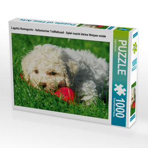 CALVENDO Puzzle Lagotto Romagnolo - Italienischer Trüffelhund - Spiel macht kleine Welpen müde 1000 Teile Puzzle quer