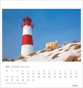Extra Schaf Postkartenkalender 2026