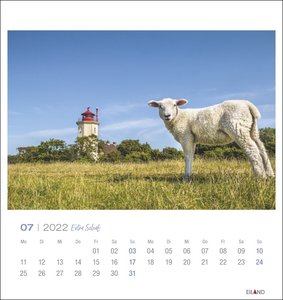 Extra Schaf Postkartenkalender 2022