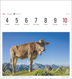 Alpen Kalender 2022