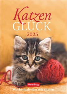 Katzenglück Wochenkalender 2025