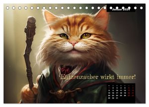 Katzen können alles, außer traurig. (Tischkalender 2024 DIN A5 quer), CALVENDO Monatskalender