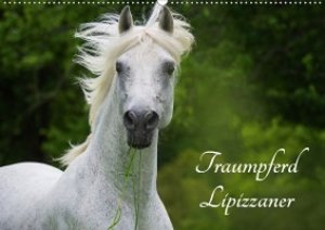 Traumpferd Lipizzaner (Wandkalender 2021 DIN A2 quer)