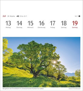 Lichtblicke Postkartenkalender 2026