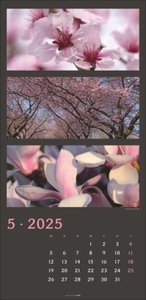 Die Farben der Natur Kalender 2025