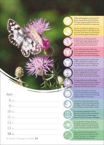 Horoskope Wochenkalender 2026