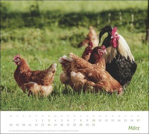 times&more Landleben Bildkalender 2024. Idyllische Naturaufnahmen in einem Wandkalender 2024. Kalender mit hochwertigen Fotos ländlicher Stillleben.