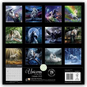 Unicorns by Anne Stokes - Einhörner von Anne Stokes 2025