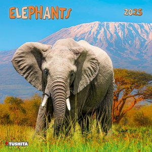 Elephant 2025