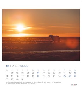 Extra Schaf Postkartenkalender 2026
