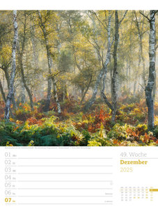 Unser Wald - Wochenplaner Kalender 2025
