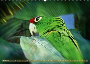 Farbenfrohe Vögel - Exoten ARTWORK