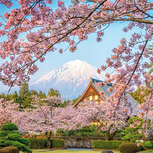 Inside Japan 2022