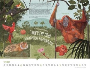Wo Tiere und Pflanzen zu Hause sind Kalender 2025