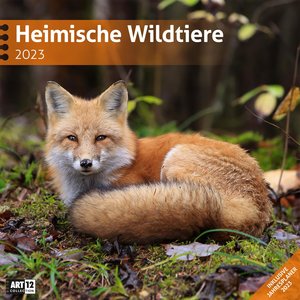 Heimische Wildtiere Kalender 2023 - 30x30
