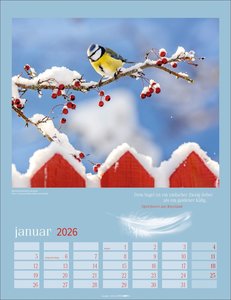Heimische Vögel Kalender 2026