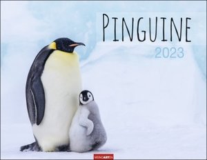 Pinguine Kalender 2023. Posterkalender mit Kaiser-, Adelie-, Zügel- und Felsenpinguinen. Großer Wandkalender für Tierfreunde. Von namhaften Fotografen gestalteter Naturkalender.