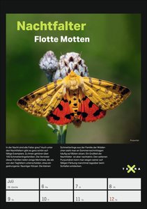 Terra X - Das Wunder Erde Wochenplaner 2026