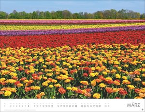 Blütenmeer Posterkalender 2026