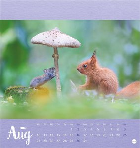 Vadim Trunov: Märchenhaftes Waldleben Postkartenkalender 2026