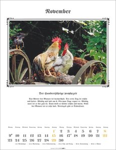 Der Hundertjährige Kalender 2026