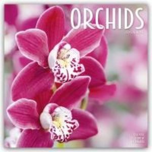 Orchids - Orchideen 2024 - 16-Monatskalender