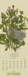 Wildwuchs - Botanische Illustrationen - Graspapier-Kalender 2023